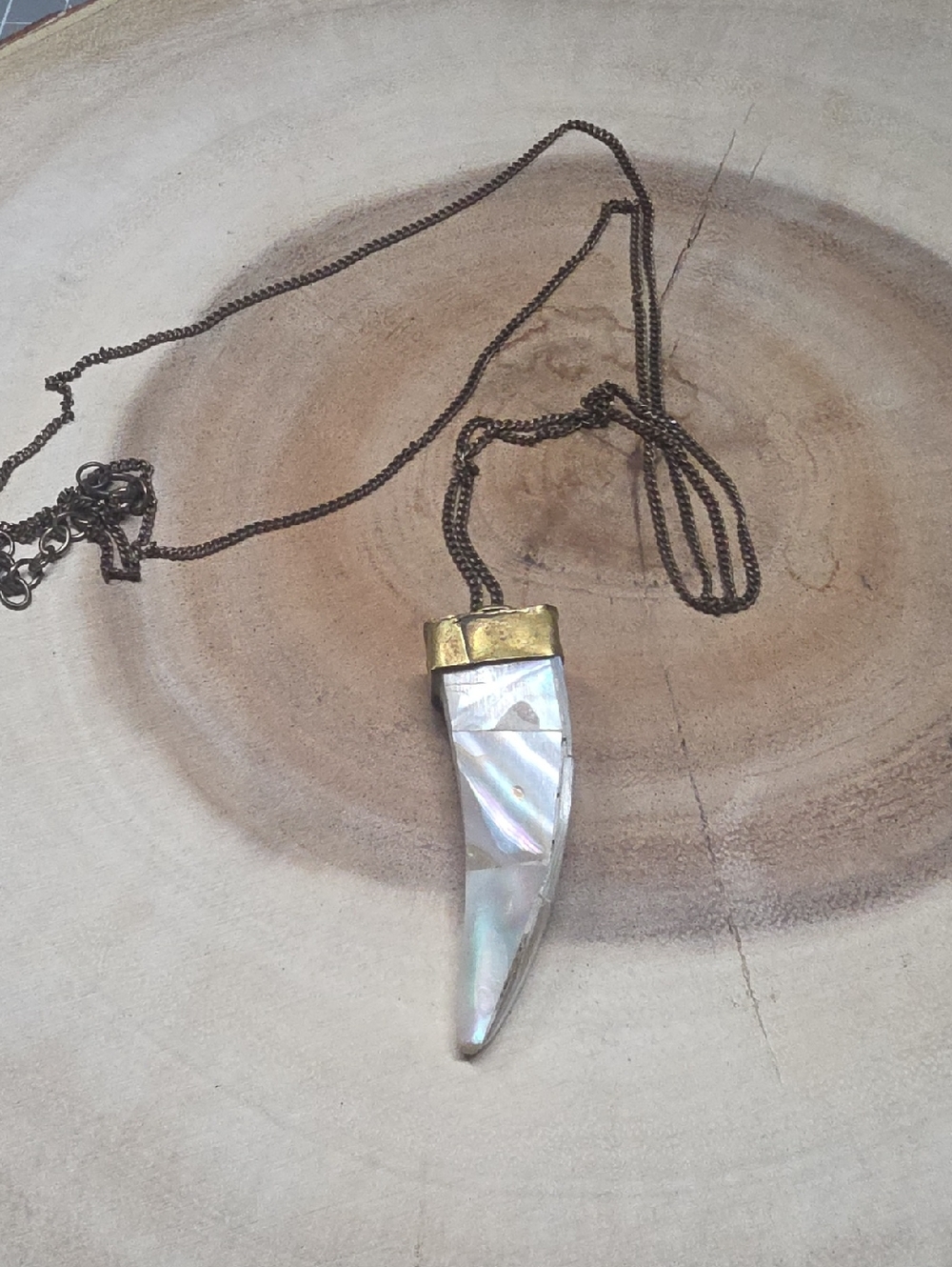 abalone shell tusk pendant with a brass cap.